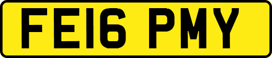 FE16PMY