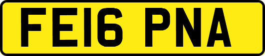 FE16PNA