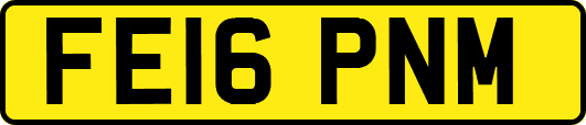 FE16PNM