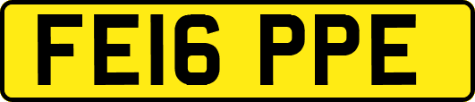 FE16PPE