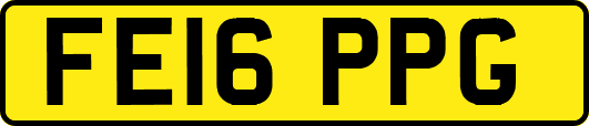FE16PPG