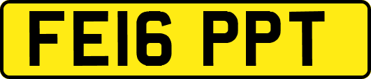 FE16PPT