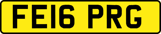 FE16PRG