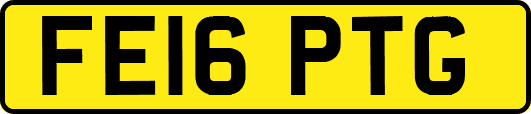 FE16PTG