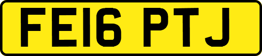 FE16PTJ
