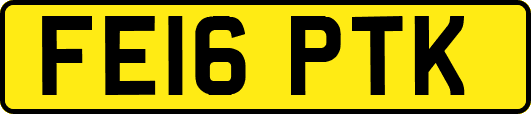 FE16PTK