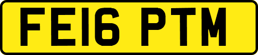 FE16PTM
