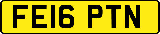 FE16PTN