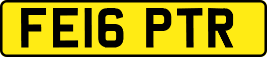 FE16PTR