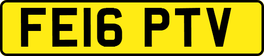 FE16PTV