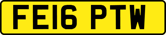 FE16PTW