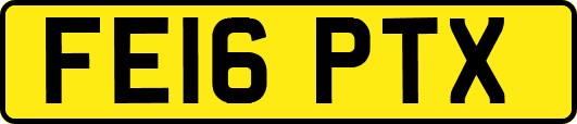 FE16PTX
