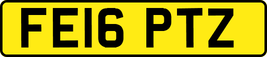 FE16PTZ