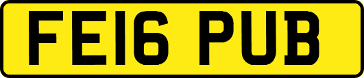 FE16PUB