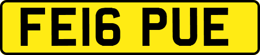 FE16PUE