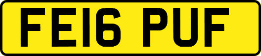 FE16PUF
