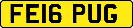 FE16PUG