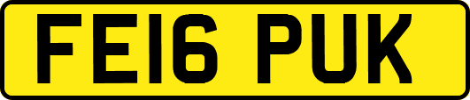 FE16PUK