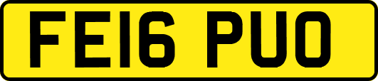 FE16PUO