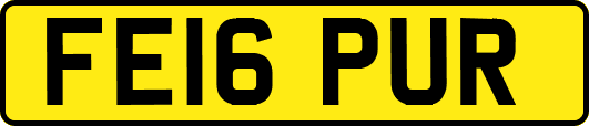 FE16PUR