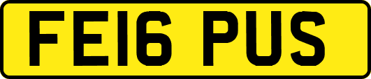 FE16PUS