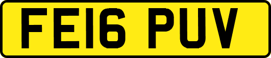 FE16PUV