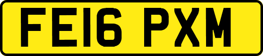 FE16PXM