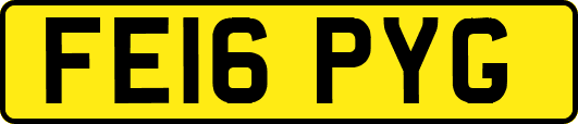 FE16PYG