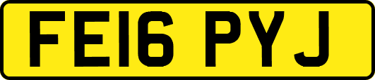 FE16PYJ