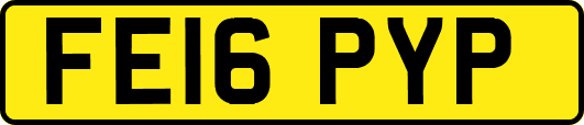 FE16PYP