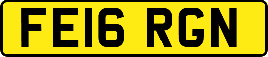 FE16RGN