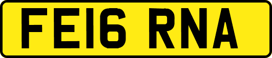 FE16RNA