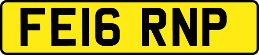 FE16RNP