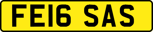 FE16SAS