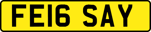 FE16SAY