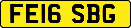 FE16SBG