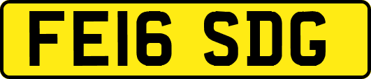 FE16SDG