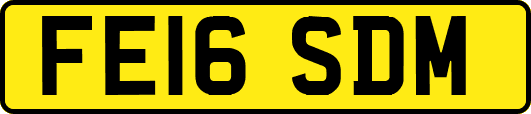 FE16SDM