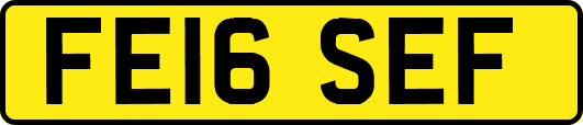 FE16SEF