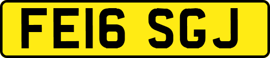 FE16SGJ