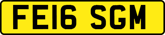 FE16SGM