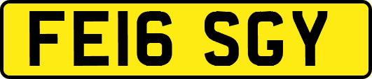 FE16SGY