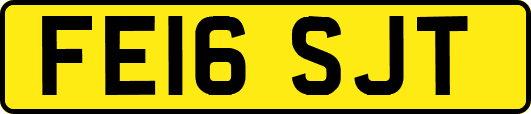 FE16SJT