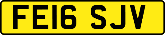 FE16SJV
