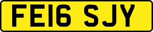 FE16SJY