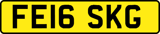 FE16SKG
