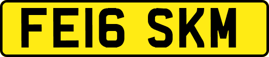 FE16SKM