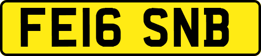 FE16SNB
