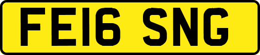FE16SNG