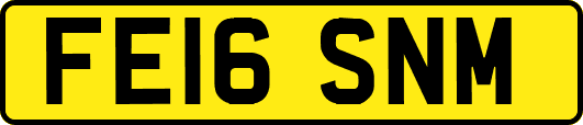 FE16SNM